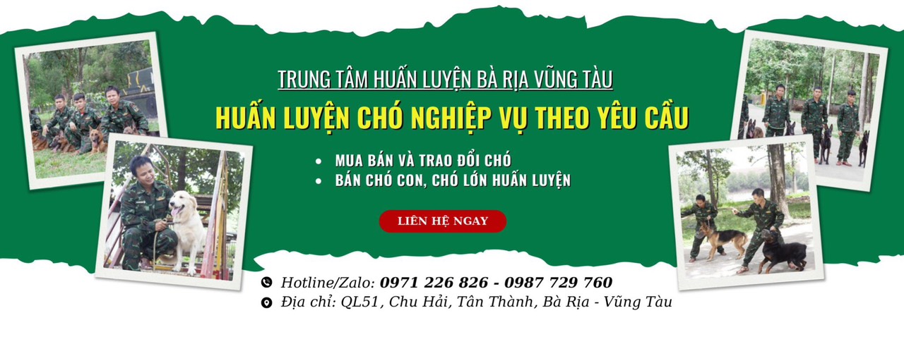 ĐỊa chỉ huấn luyện cho tại bà rịa vũng tàu